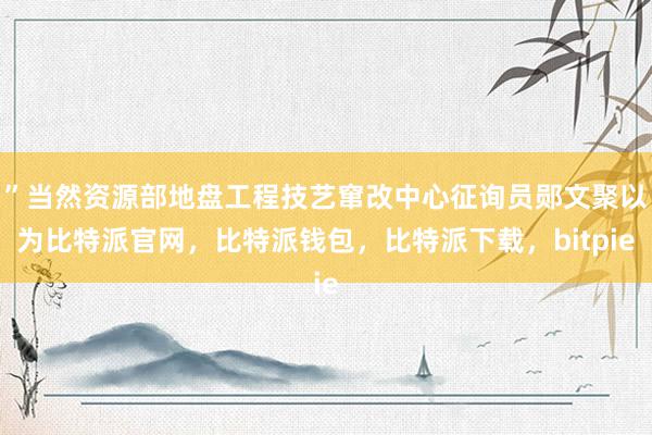 ”当然资源部地盘工程技艺窜改中心征询员郧文聚以为比特派官网，比特派钱包，比特派下载，bitpie