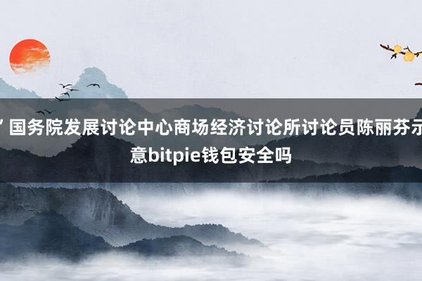 ”国务院发展讨论中心商场经济讨论所讨论员陈丽芬示意bitpie钱包安全吗