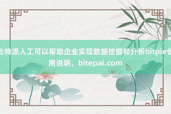 比特派人工可以帮助企业实现数据挖掘和分析bitpie使用说明，bitepai.com