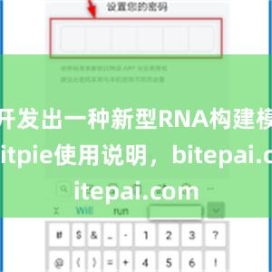 开发出一种新型RNA构建模块bitpie使用说明，bitepai.com