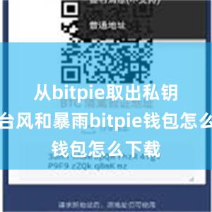 从bitpie取出私钥　　针对台风和暴雨bitpie钱包怎么