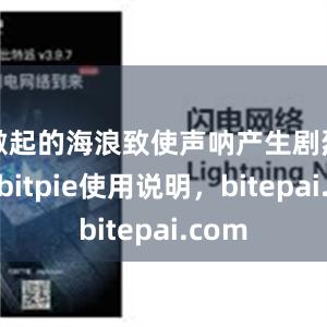 激起的海浪致使声呐产生剧烈抖动bitpie使用说明，bite